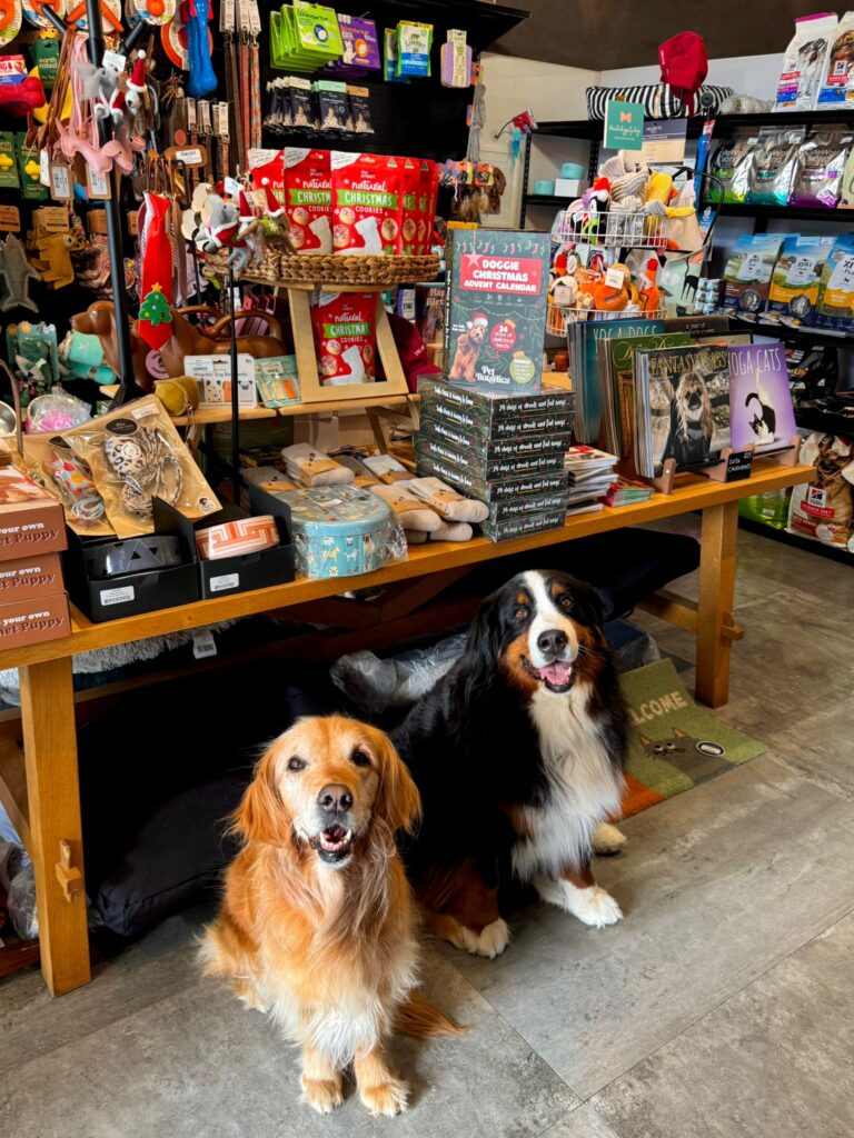 Avoca Pets Pet Store Avoca