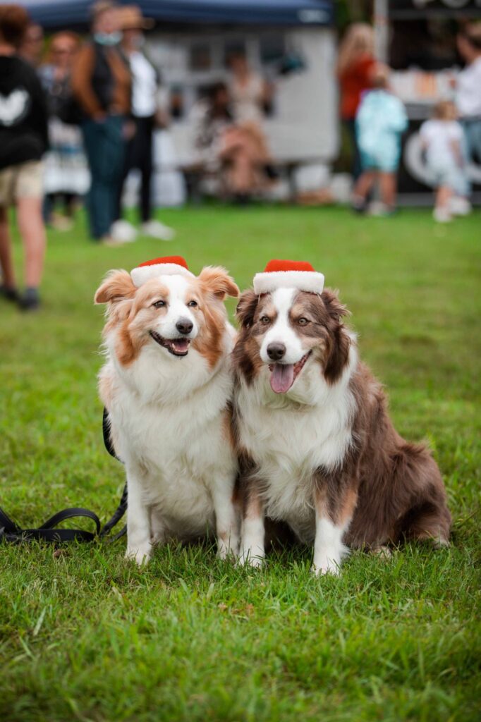 Pet Friendly Central Coast Markets