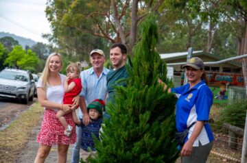 Where to Buy Christmas Trees on the Central Coast
