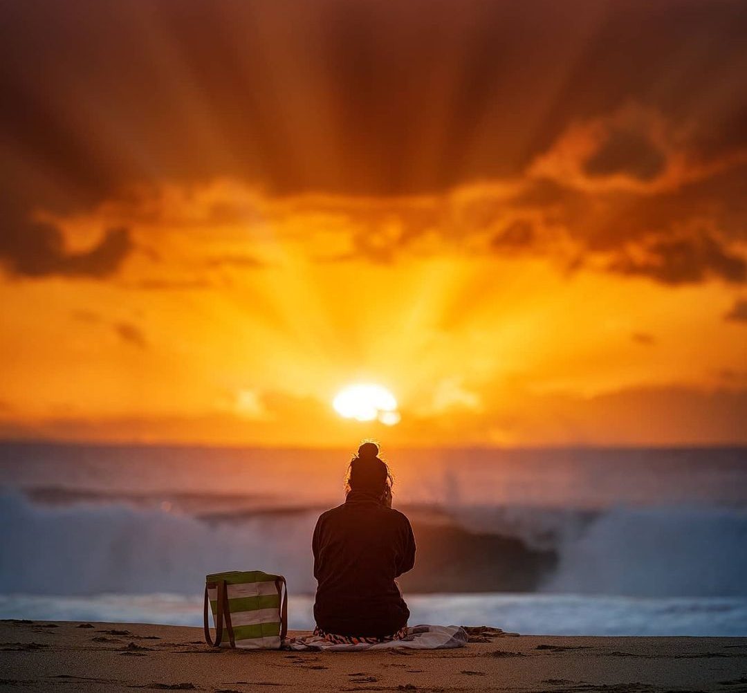 Things to do in Avoca Beach