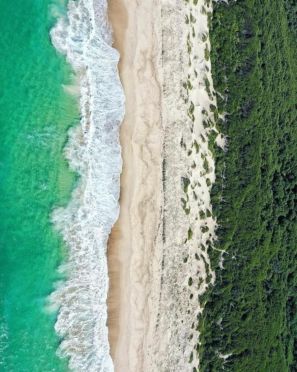 Birdie Beach