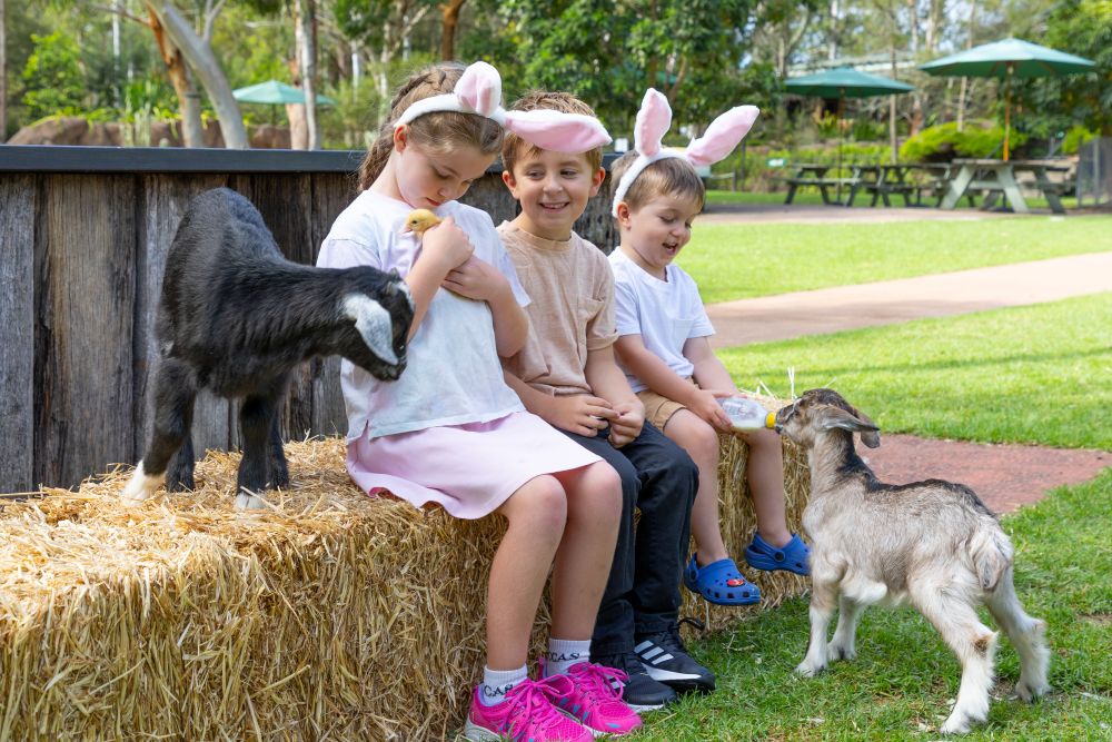 Ploddys Easter Fair Australian Reptile Park Central Coast