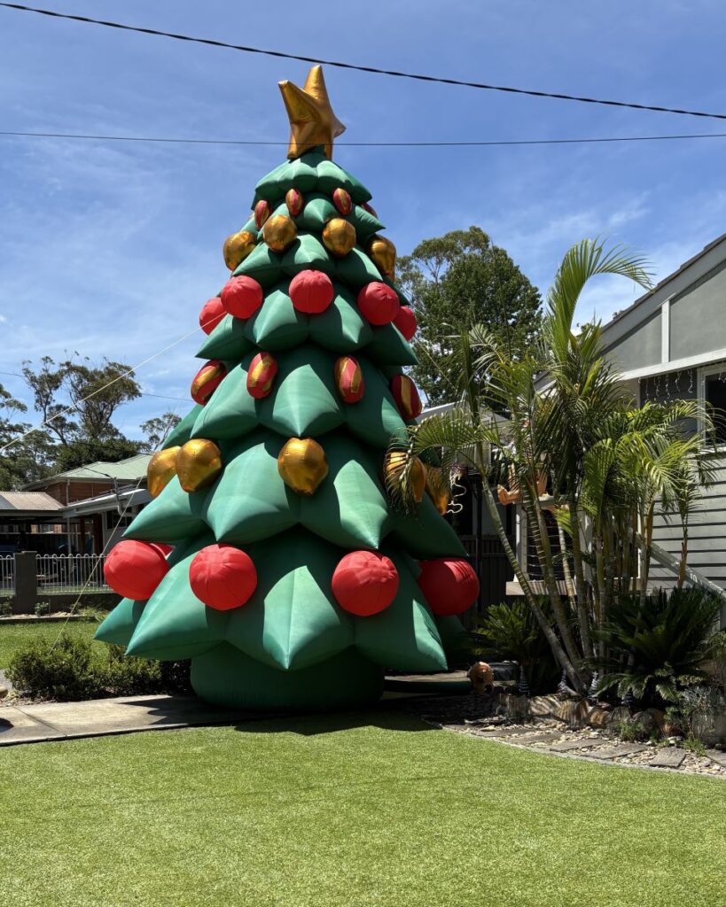 Erina Christmas Lights