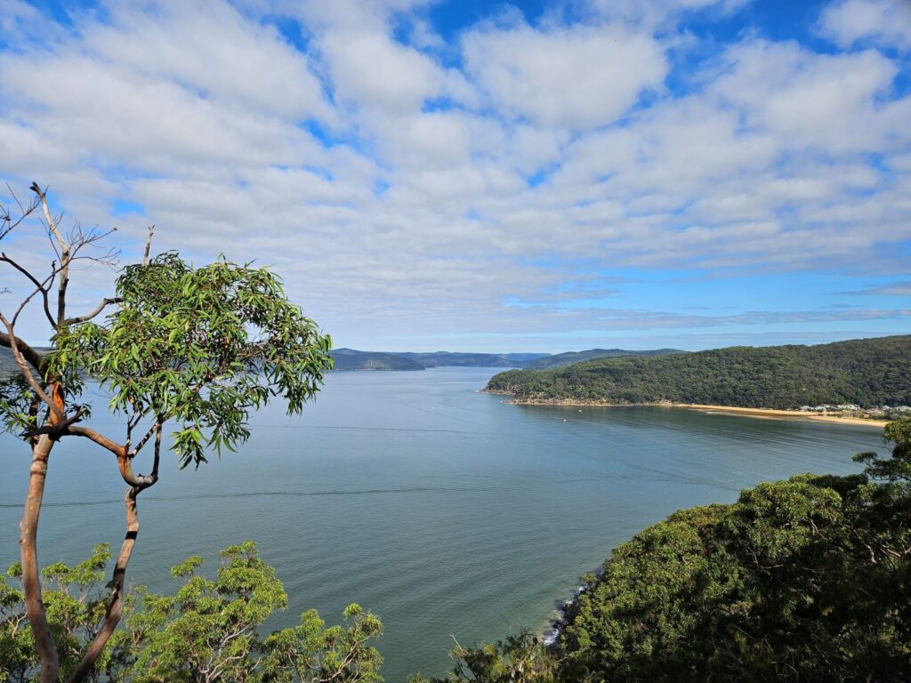 Pearl Beach Arboretum to Warrah Lookout Loop