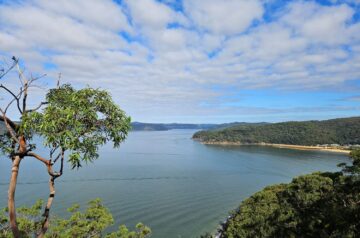 Weekend Walks: Pearl Beach Arboretum to Warrah Lookout