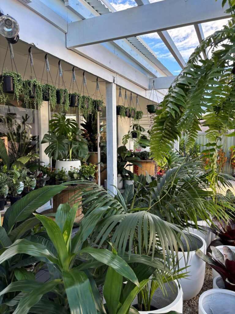 central coast nursery