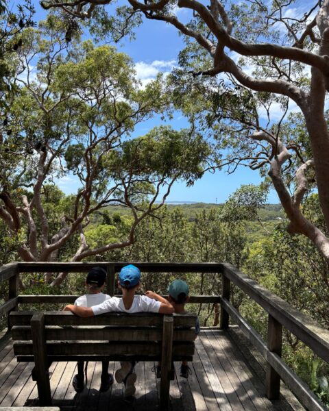 Red Gum Trail by @CennyCoastHikes Central Coast Bushwalks