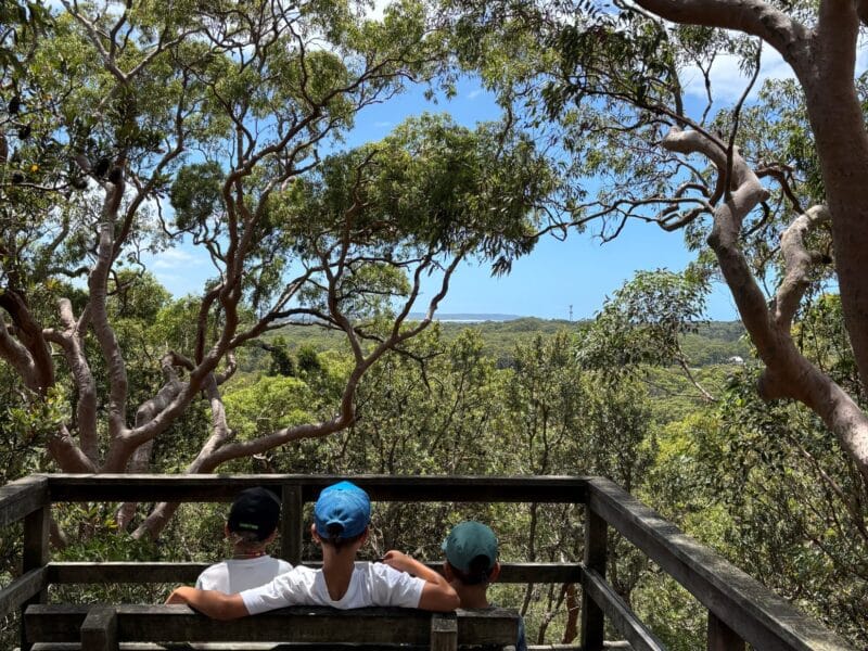Red Gum Trail by @CennyCoastHikes Central Coast Bushwalks